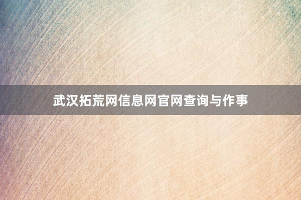 武汉拓荒网信息网官网查询与作事
