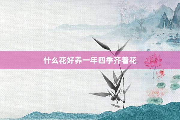 什么花好养一年四季齐着花